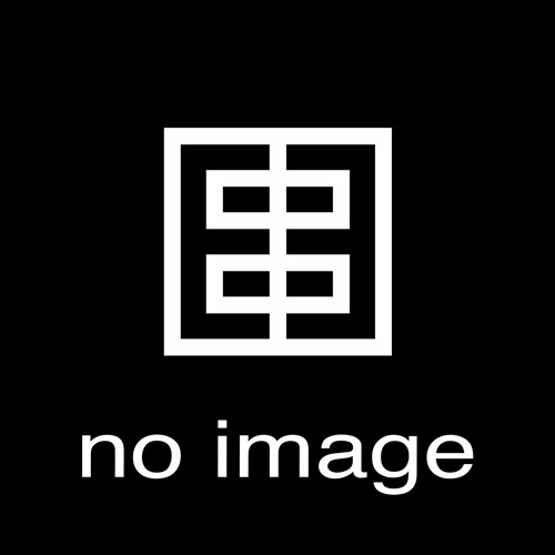 Kabel für Ringblitz (20493/20494)