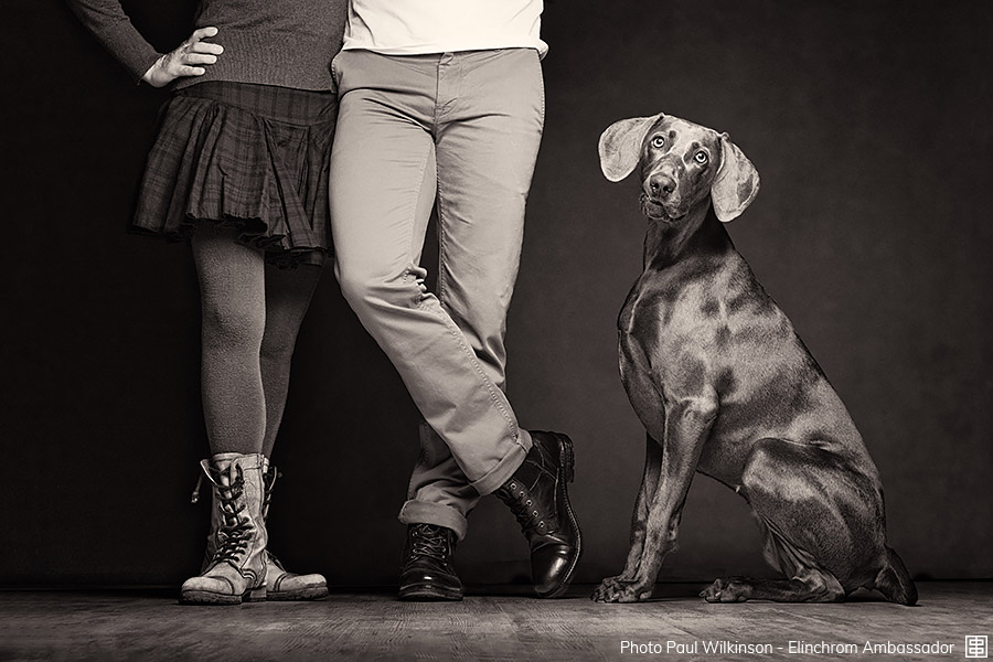 Anzeige:001 wilkinson-001.jpg